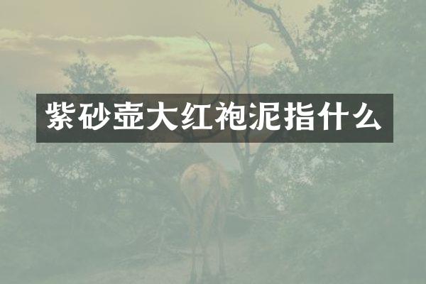 紫砂壶大红袍泥指什么