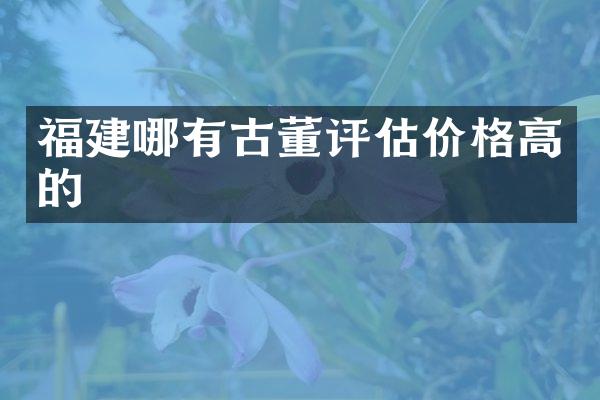 福建哪有古董评估价格高的