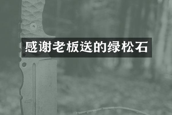 感谢老板送的绿松石