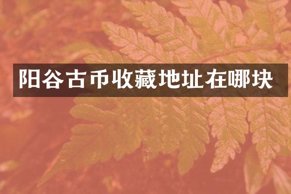 阳谷古币收藏地址在哪块