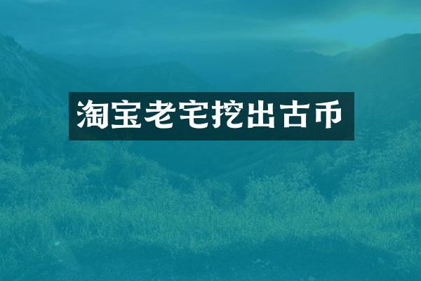 淘宝老宅挖出古币