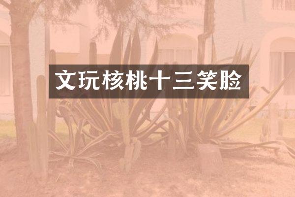 文玩核桃十三笑脸