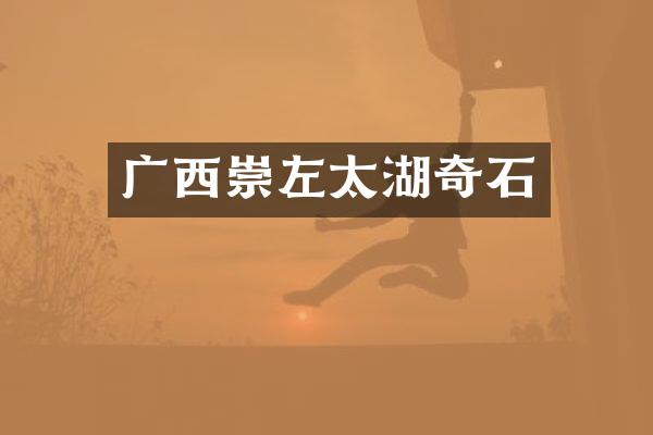 广西崇左太湖奇石