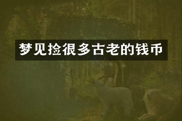 梦见捡很多古老的钱币