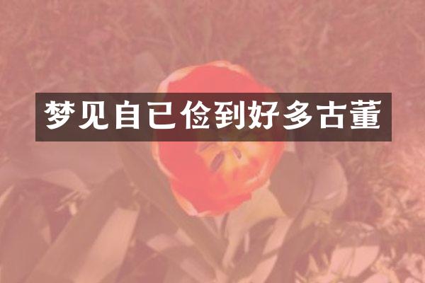 梦见自已俭到好多古董