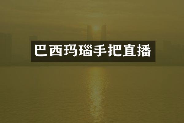 巴西玛瑙手把直播