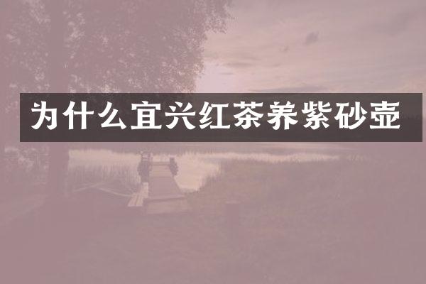 为什么宜兴红茶养紫砂壶