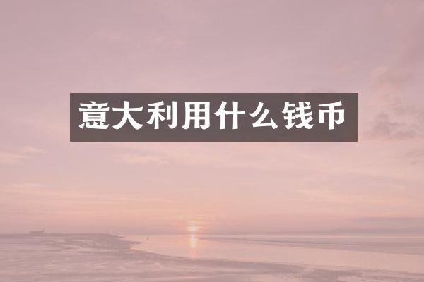 意大利用什么钱币