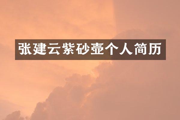 张建云紫砂壶个人简历