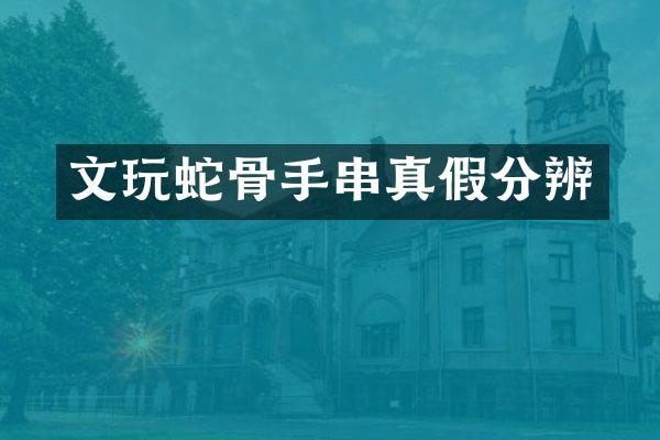 文玩蛇骨手串真假分辨