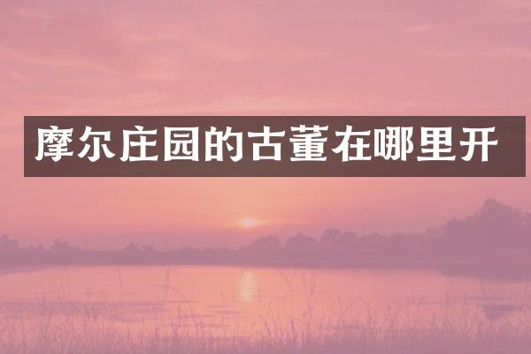 摩尔庄园的古董在哪里开