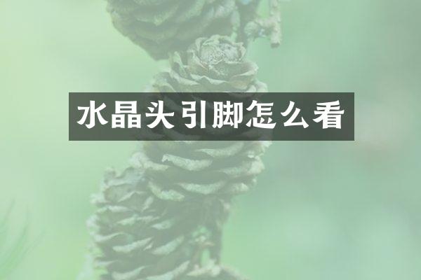 水晶头引脚怎么看