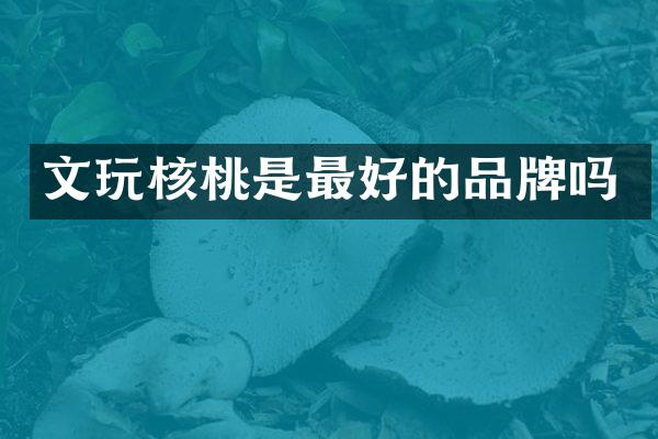 文玩核桃是最好的品牌吗