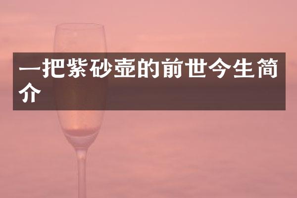 一把紫砂壶的前世今生简介