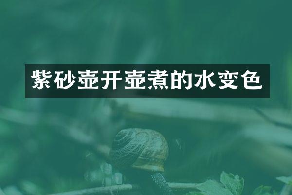 紫砂壶开壶煮的水变色