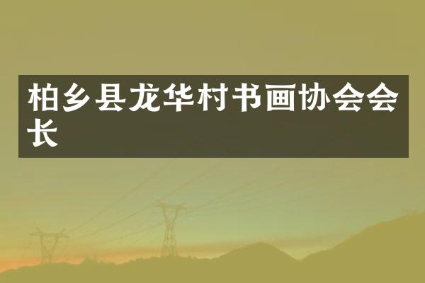柏乡县龙华村书画协会会长
