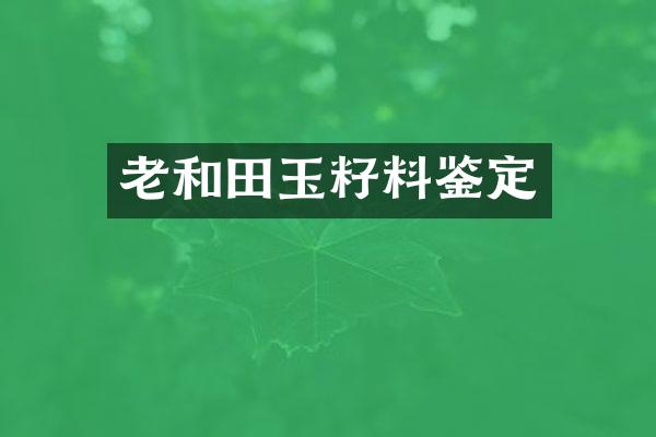 老和田玉籽料鉴定