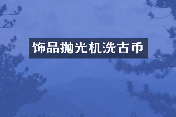 饰品抛光机洗古币