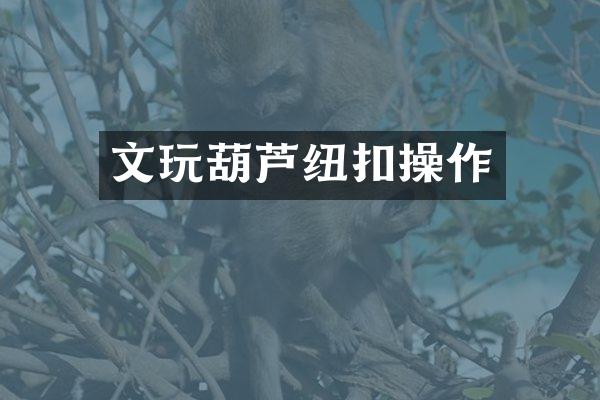 文玩葫芦纽扣操作