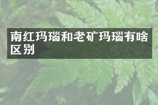 南红玛瑙和老矿玛瑙有啥区别