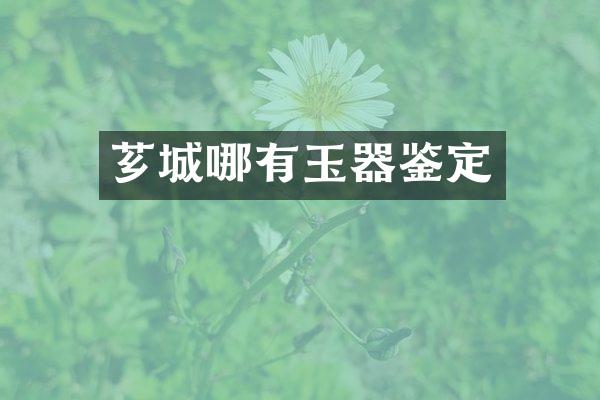 芗城哪有玉器鉴定