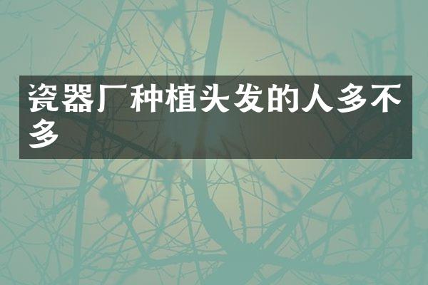 瓷器厂种植头发的人多不多