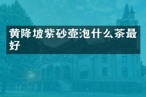 黄降坡紫砂壶泡什么茶最好
