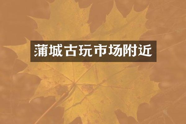 蒲城古玩市场附近