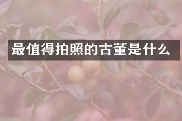 最值得拍照的古董是什么