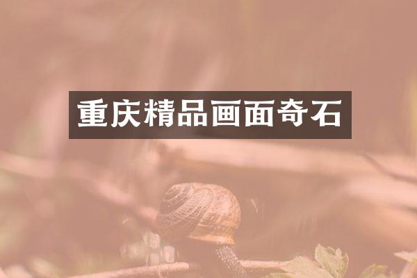 重庆精品画面奇石