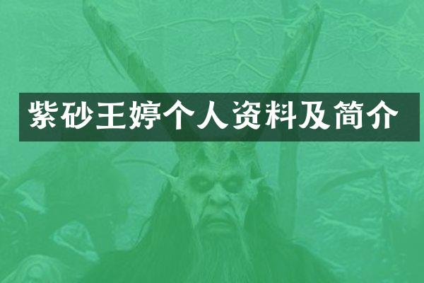 紫砂王婷个人资料及简介