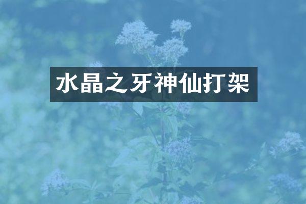 水晶之牙神仙打架
