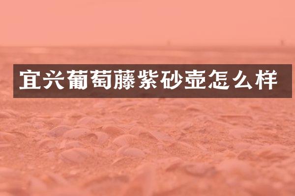 宜兴葡萄藤紫砂壶怎么样