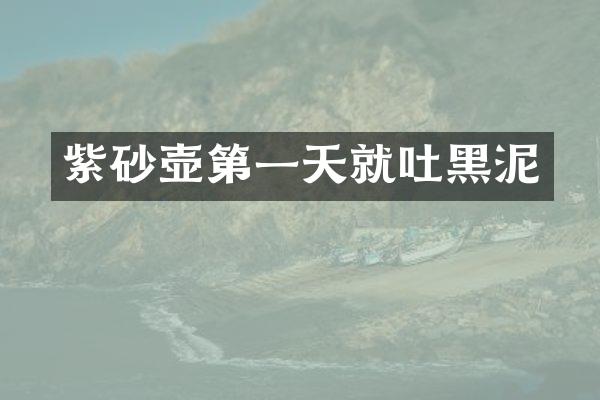 紫砂壶第一天就吐黑泥