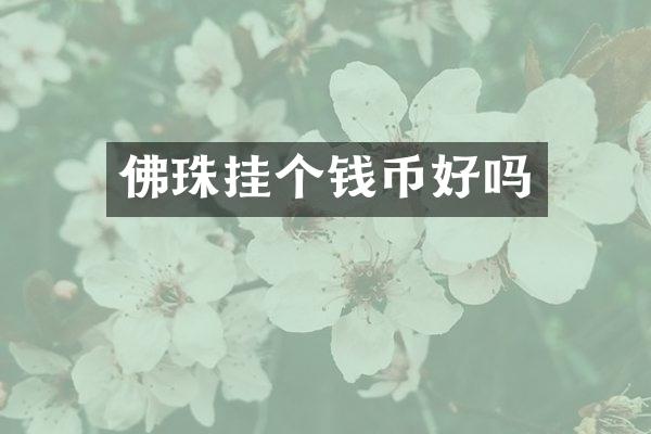佛珠挂个钱币好吗