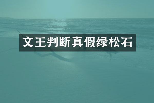 文王判断真假绿松石