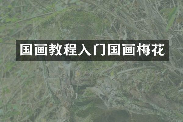 国画教程入门国画梅花