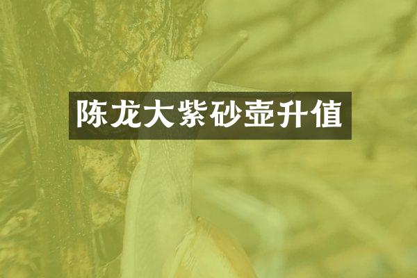 陈龙大紫砂壶升值