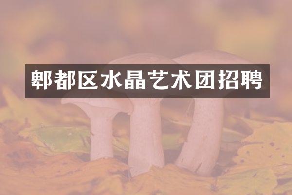 郫都区水晶艺术团招聘