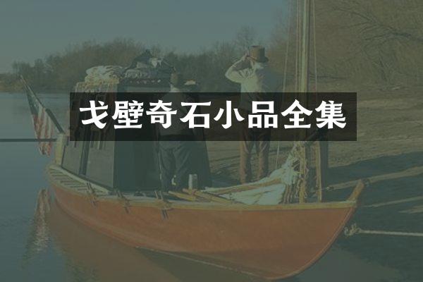 戈壁奇石小品全集