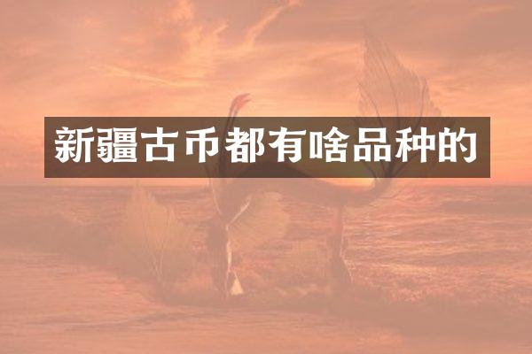 新疆古币都有啥品种的