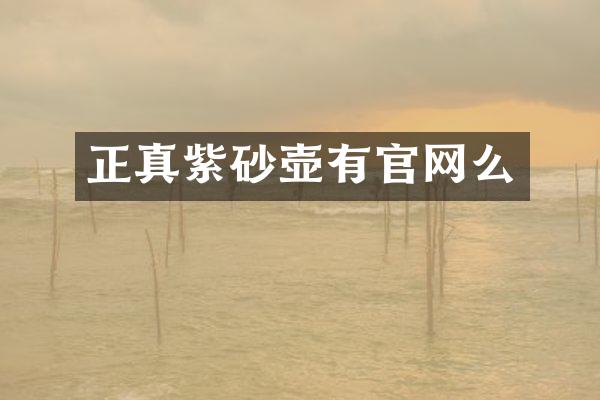 正真紫砂壶有官网么