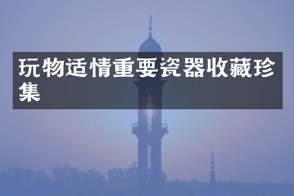 玩物适情重要瓷器收藏珍集