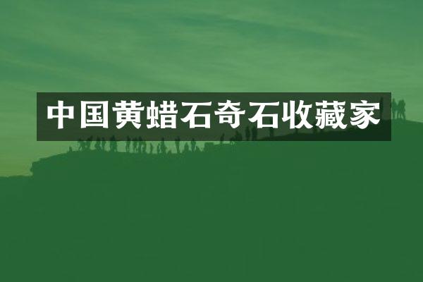 中国黄蜡石奇石收藏家