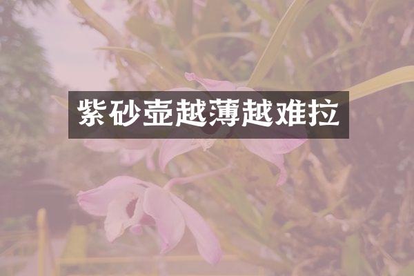 紫砂壶越薄越难拉