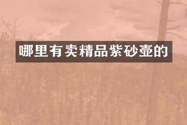 哪里有卖精品紫砂壶的