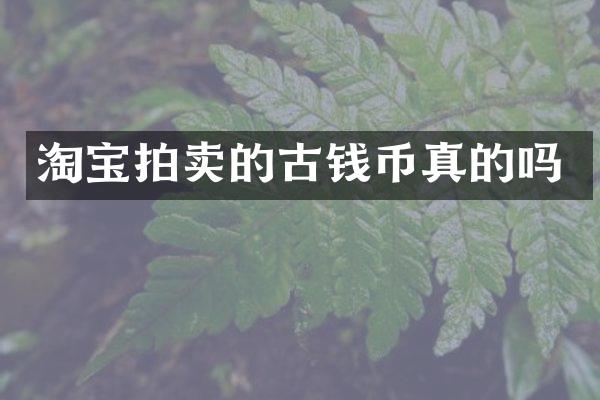 淘宝拍卖的古钱币真的吗