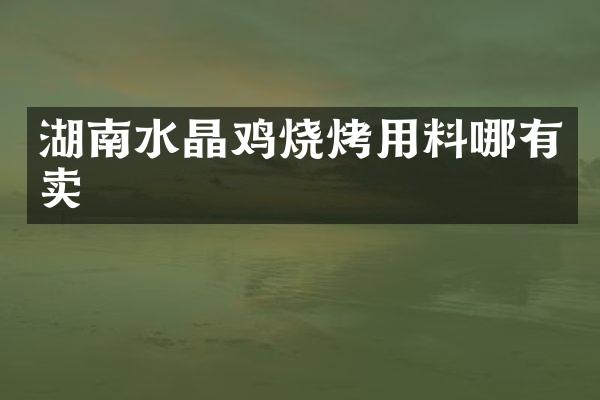 湖南水晶鸡烧烤用料哪有卖