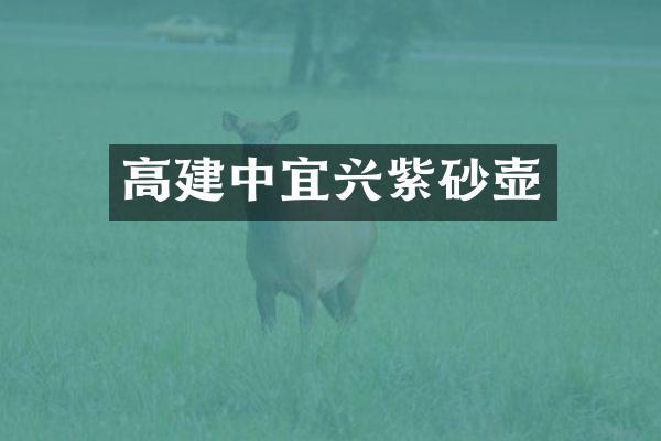 高建中宜兴紫砂壶