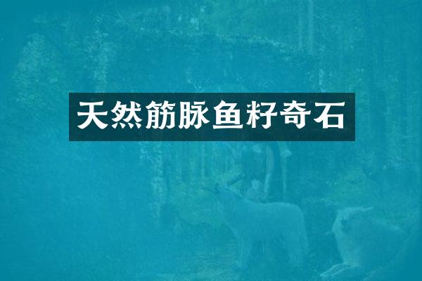 天然筋脉鱼籽奇石